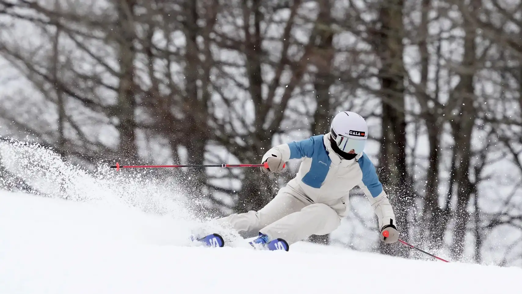 SNOHOLI Slide 1